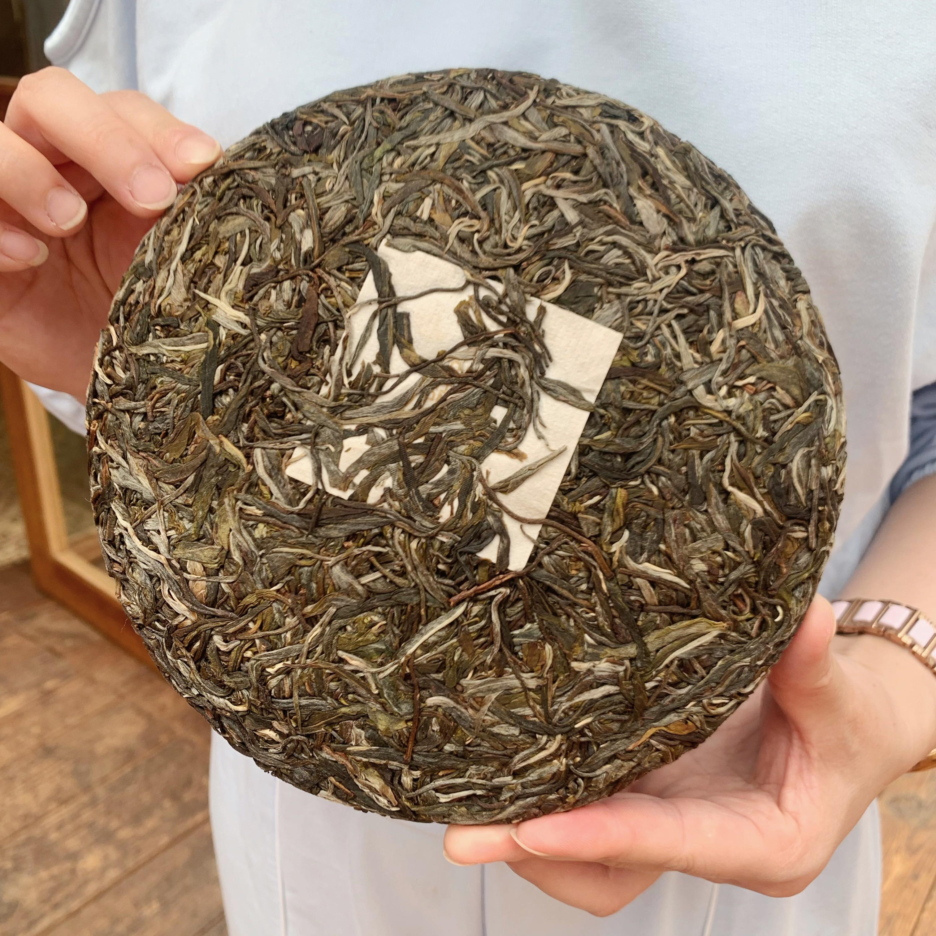 2022年春茶易武高杆古树曼松普洱茶生茶357g饼茶 - 大拙古茶社